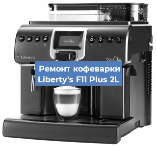 Чистка кофемашины Liberty's F11 Plus 2L от накипи в Волгограде